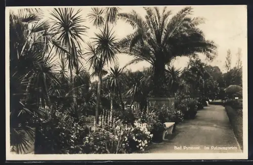 AK Bad Pyrmont, Palmengarten, Spazierweg, tropische Pflanzen