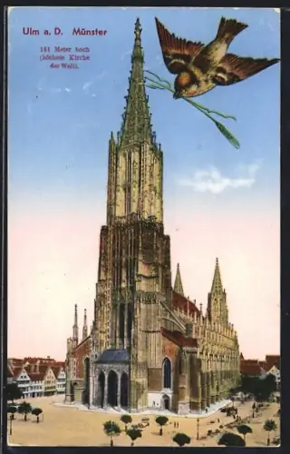 AK Ulm, Münster, Motiv mit Sperling