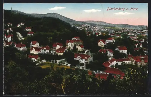 AK Blankenburg a. Harz, Ortsansicht mit Wohnhäusern