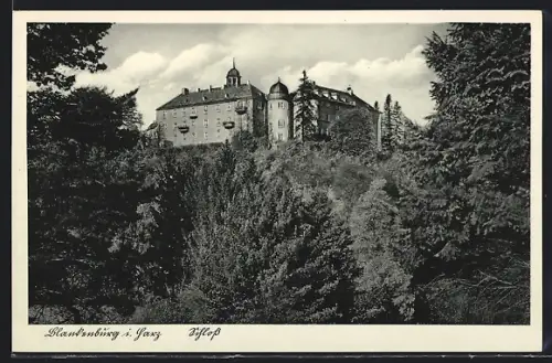 AK Blankenburg i. Harz, Schloss