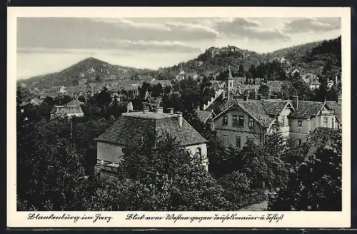AK Blankenburg im Harz, Blick gegen Teufelsmauer und Schloss