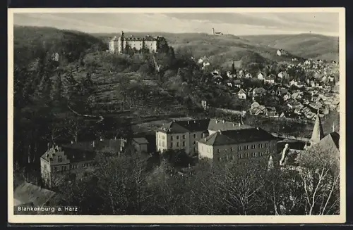 AK Blankenburg a. Harz, Schloss und Ortsansicht