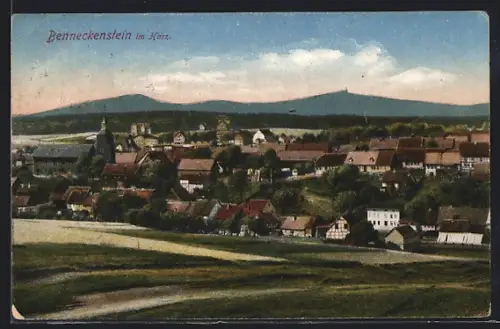 AK Benneckenstein im Harz, Ortsansicht mit Kirche und Fachwerkhäusern