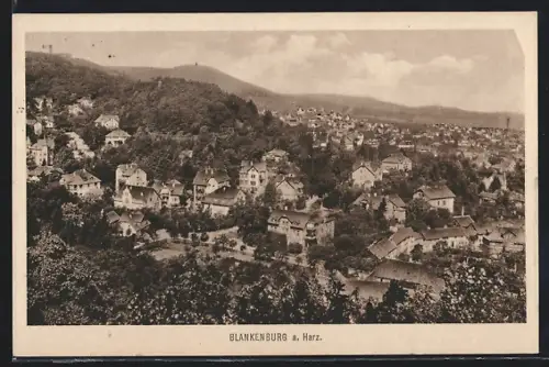 AK Blankenburg a. Harz, Ortspanorama