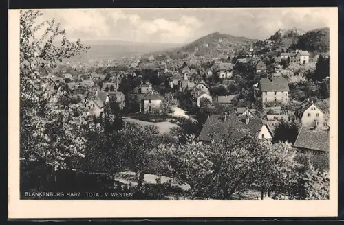 AK Blankenburg /Harz, Ortsansicht von Westen