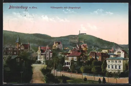 AK Blankenburg a. Harz, Villenpartie mit Ziegenkopf
