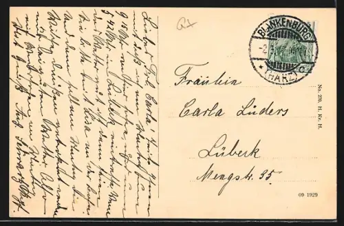 AK Blankenburg a. Harz, Ortsansicht vom Grossvater