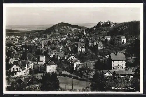 AK Blankenburg /Harz, Ortsansicht mit Wohnhäusern