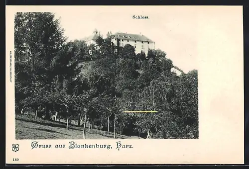 AK Blankenburg /Harz, Schloss