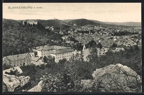 AK Blankenburg a. Harz, Ortspanorama