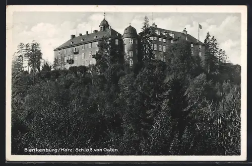 AK Blankenburg /Harz, Schloss von Osten