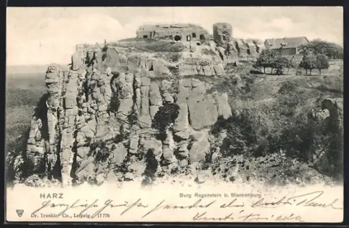 AK Blankenburg /Harz, Burg Regenstein