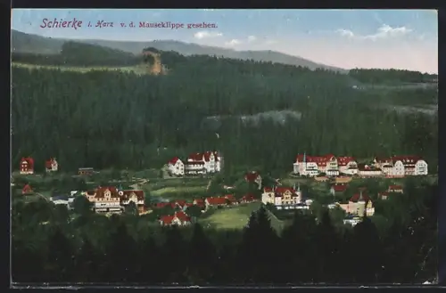 AK Schierke i. Harz, Ansicht v. d. Mauseklippe