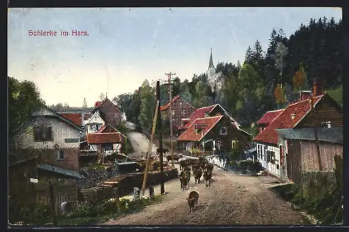 AK Schierke im Harz, Partie im Ort