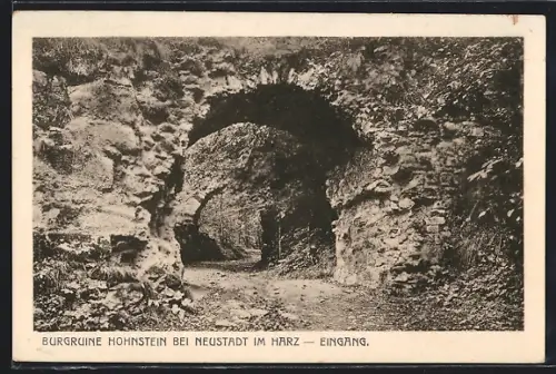 AK Neustadt im Harz, Burgruine Hohnstein, Eingang