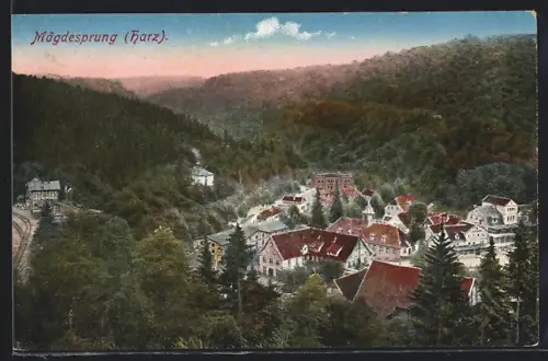 AK Mägdesprung /Harz, Ortsansicht im Tal