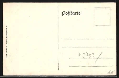 AK Elbingerode i. Harz, Ortsansicht mit Wohnhäusern