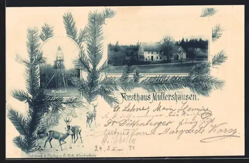 AK Müllershausen, Forsthaus, Kaitsch