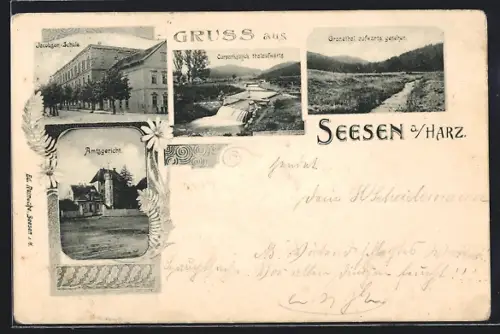 AK Seesen a. Harz, Granethal, Curpark, Jacobsen-Schule, Amtsgericht