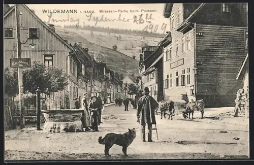 AK Wildemann i. Harz, Strassenpartie mit Holzhaus, Brunnen u. Rindern