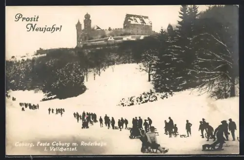 AK Coburg, Feste Coburg mit Rodelbahn i. Veilchental