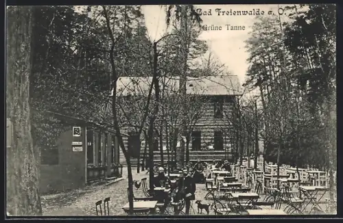 AK Bad Freienwalde a. O., Gasthof Grüne Tanne mit Garten
