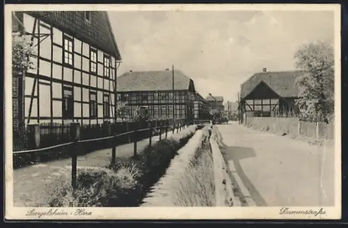 AK Langelsheim i. Harz, Blick in die Dammstrasse