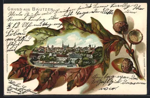 Passepartout-Lithographie Bautzen, Ortspanorama im Eichenblatt-Passepartout