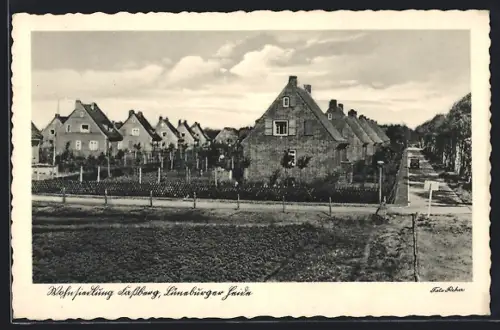 AK Fassberg /Lüneburger Heide, Wohnsiedlung mit Strassenpartie
