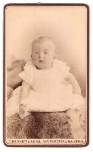 Fotografie T. Bennett & Sons, Worcester, Broad St 8, Porträt eines Kleinkinds