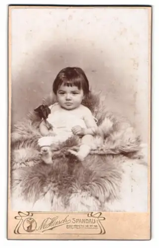Fotografie M. Hirsch, Spandau, Breite Str. 26, 27, 28, Porträt eines Kleinkinds