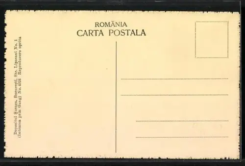 AK Bucuresti, Vederea Generala