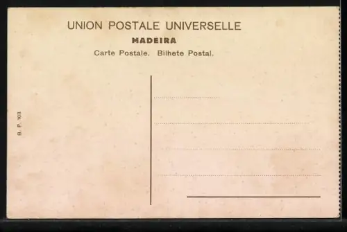 AK Madeira, Vista tirada de Oeste