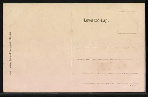AK Versecz, Totalansicht