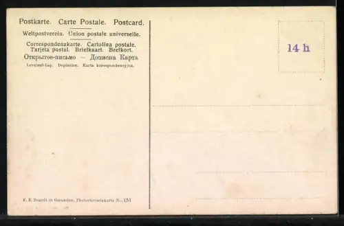 AK Bad Ischl, Blick von Sterzens Abendsitz auf den Ort