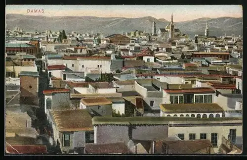 AK Damas, Panorama
