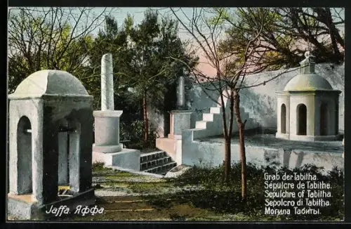 AK Jaffa, Grab der Tabitha