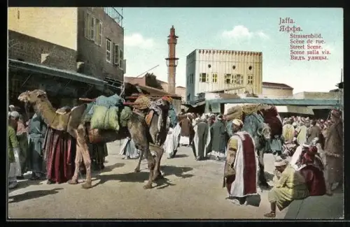 AK Jaffa, Strassenbild mit Kamelen