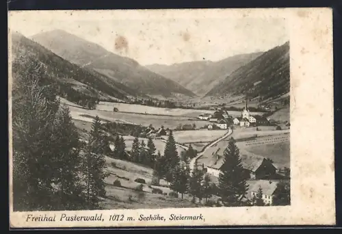 AK Pusterwald /Freithal, Ortspartie mit Bergen