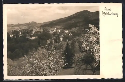 AK Bad Gleichenberg, Teilansicht mit Bäumen