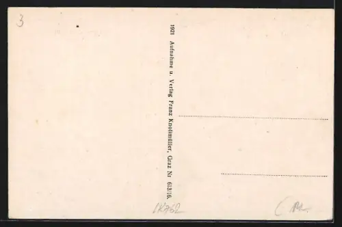 AK Gleichenberg, Genesungsheim Styria und Villa Louise