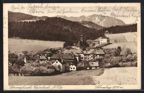 AK Grünbach, Ortsansicht mit Schneeberg