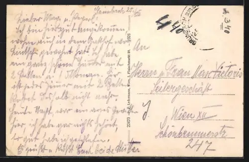 AK Grünbach, Ortsansicht mit Schneeberg