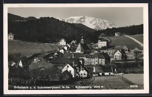 AK Grünbach a. d. Schneebergbahn, Ortsansicht aus der Vogelschau