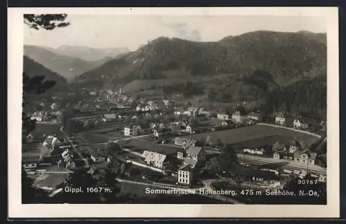 AK Hohenberg /N.-Oe., Teilansicht mit Gippl