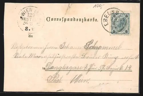 Lithographie Linz, Franz Josef Platz, Ortsansicht mit Donaubrücke