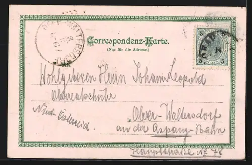 Lithographie Vorau b. Hartberg, Teilansicht mit Kloster, Primeln, Passepartout