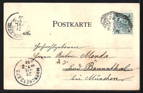 Lithographie Schärding, Ansicht der Wasserheilanstalt