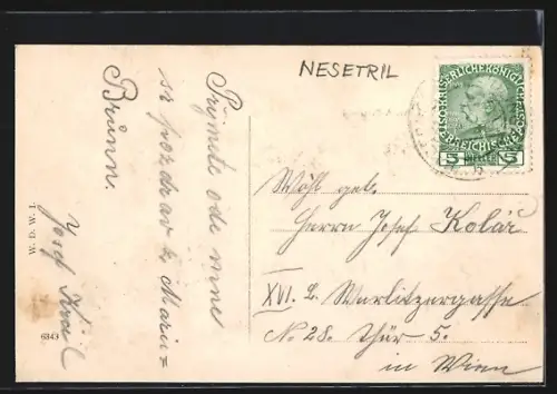 AK Wien XIV, Maria Brunn, Teilansicht im Rahmen mit Blumen