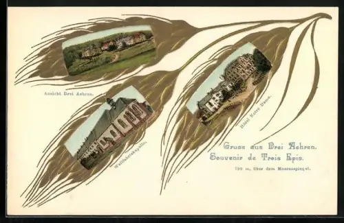 AK Trois Epis, différentes vues, vue générale, chapelle, hôtel Notre-Dame